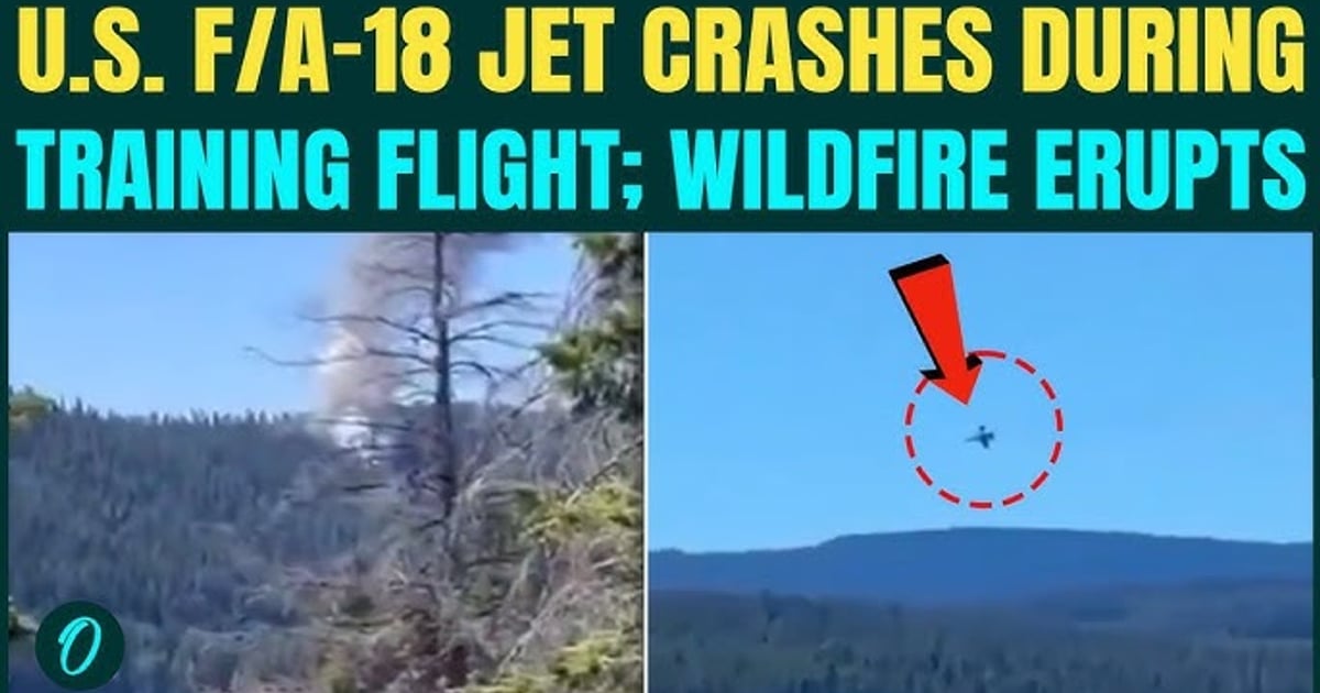 Fotografija uz vijest: Američki borbeni avion F/A-18 srušio se u Vašingtonu i izazvao šumski požar