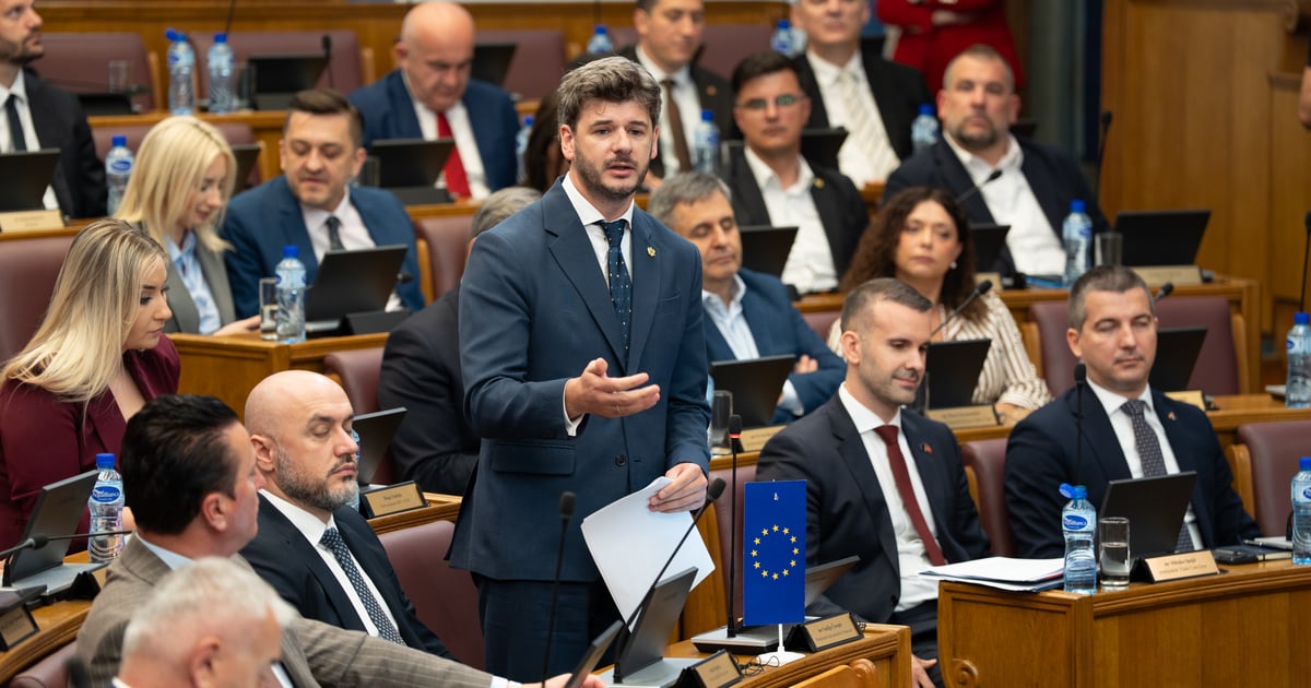 Fotografija uz vijest: Čarapić: Opstrukcija opozicije jasno pokazuje njihove stvarne namjere