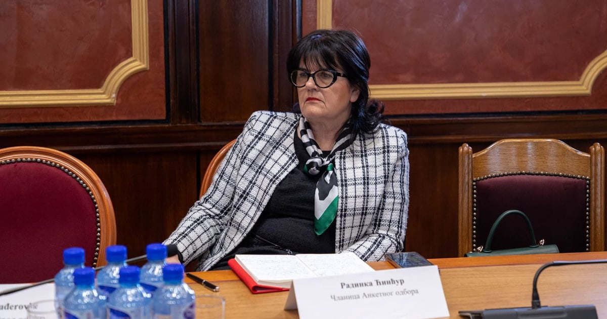 Fotografija uz vijest: Ćinćur: Izostanak ministra Vukovića sa saslušanja pokazuje odnos Vlade prema kulturi