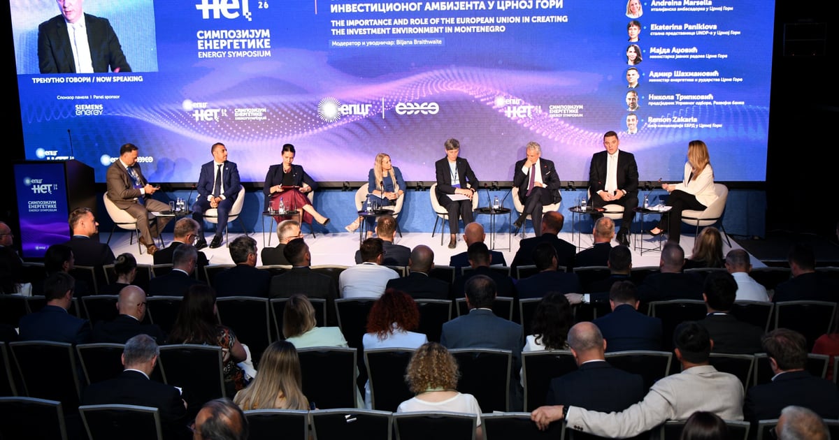 Fotografija uz vijest: Crna Gora blizu završetka integracije u energetsko tržište EU, snažna poruka investitorima