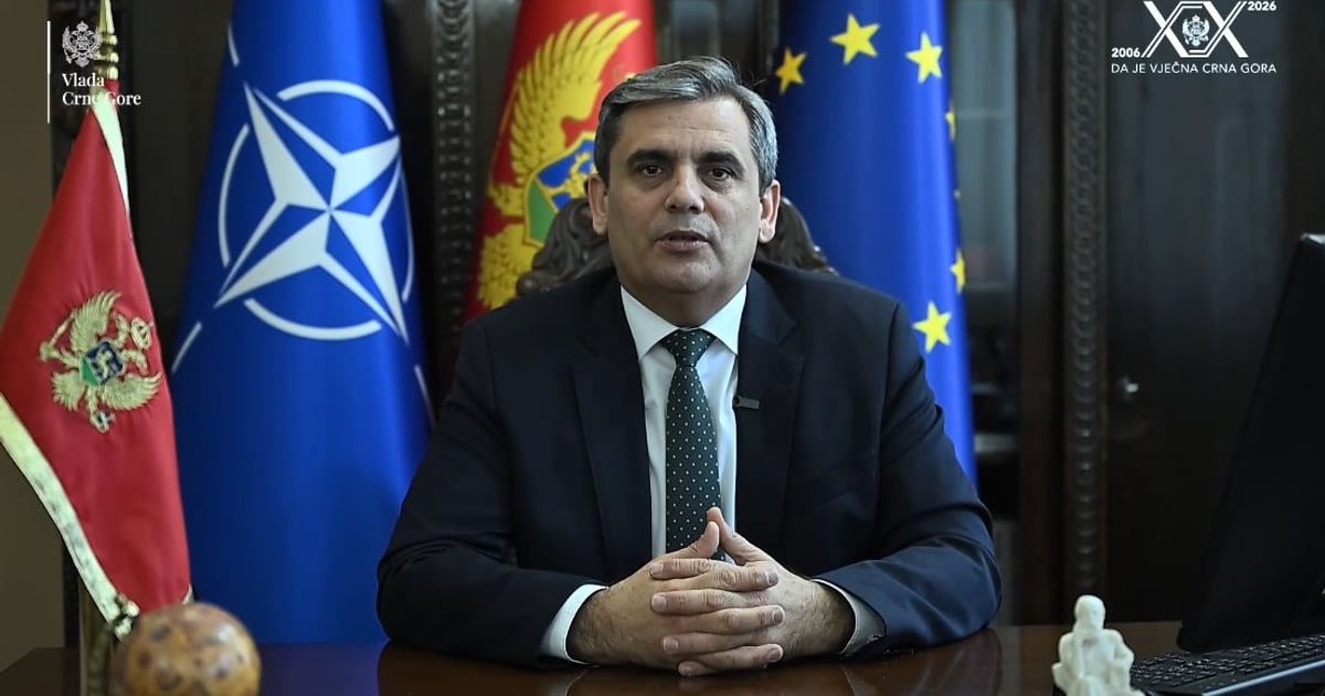 Fotografija uz vijest: Ibrahimović: Spremnost i odgovornost ključni za pristupanje Crne Gore EU