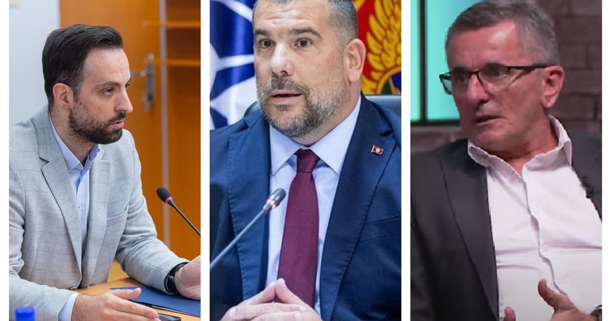 Fotografija uz vijest: Krapović: Zirojević i Radulović, gospodo, u problemu ste