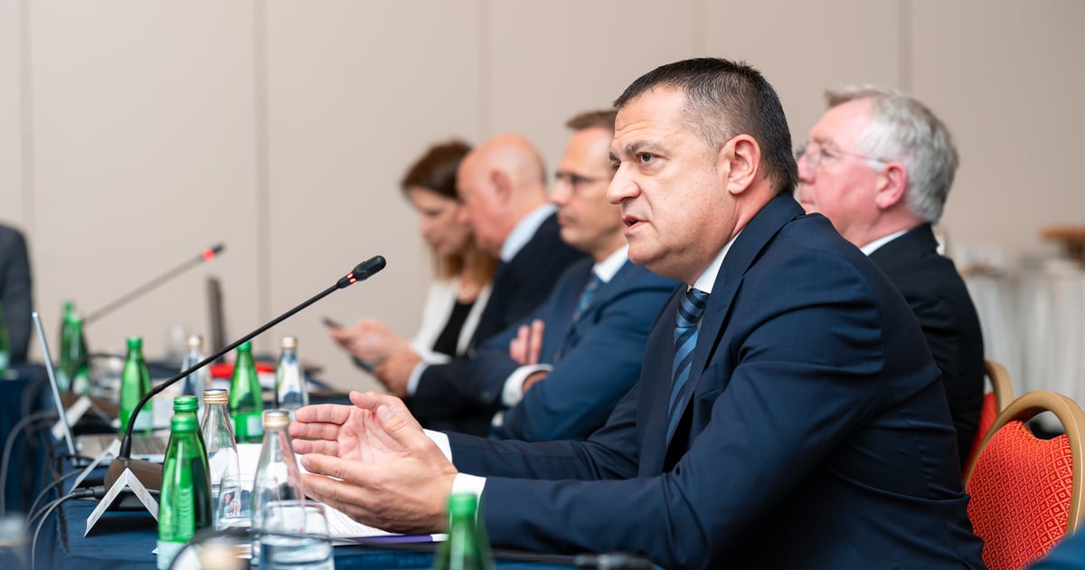 Fotografija uz vijest: Mitrović: Privlačenje kredibilnih ulagača moguće i u proizvodnji hrane, drvoprerađivačkoj industriji, ICT-u i digitalnoj ekonomiji