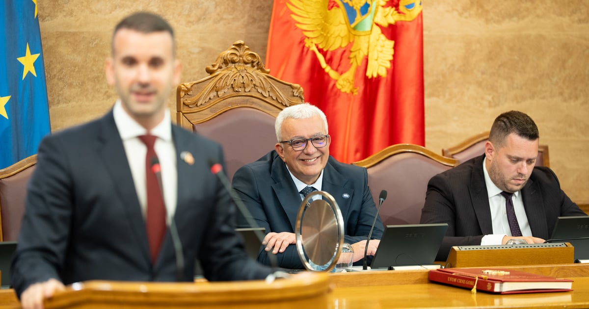 Fotografija uz vijest: Nova srpska demokratija čestita PES-u na pridruživanju Evropskoj narodnoj partiji