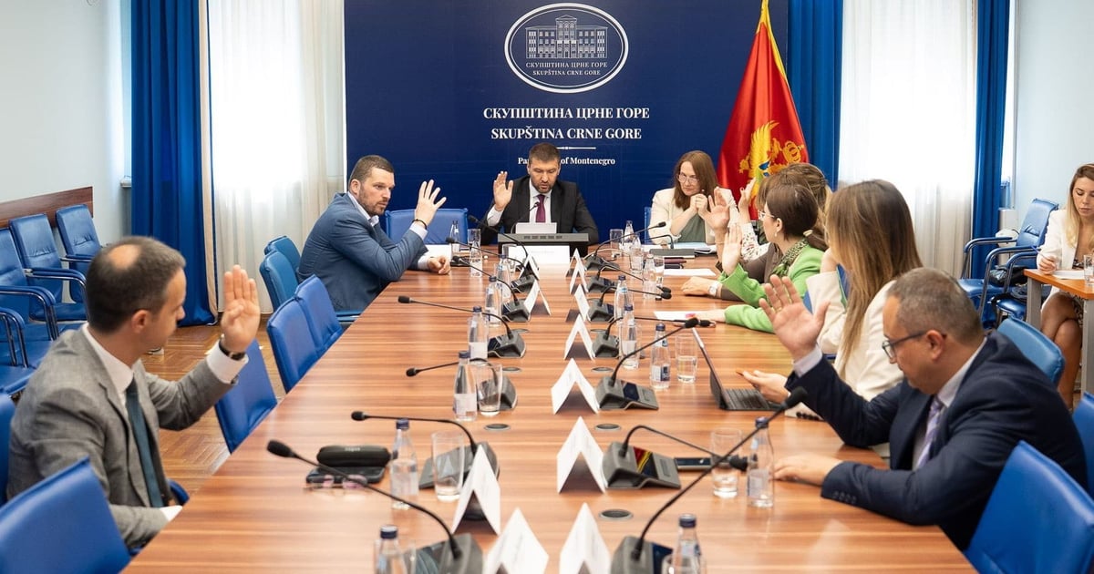 Fotografija uz vijest: Odbor za zdravstvo podržao inicijative Borisa Mugoše za ubrzanje rada komisija i unapređenje prava pacijenata