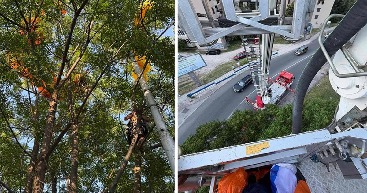 Fotografija uz vijest: Paraglajder sletio u krošnju drveta kod škaljarskog Doma kulture