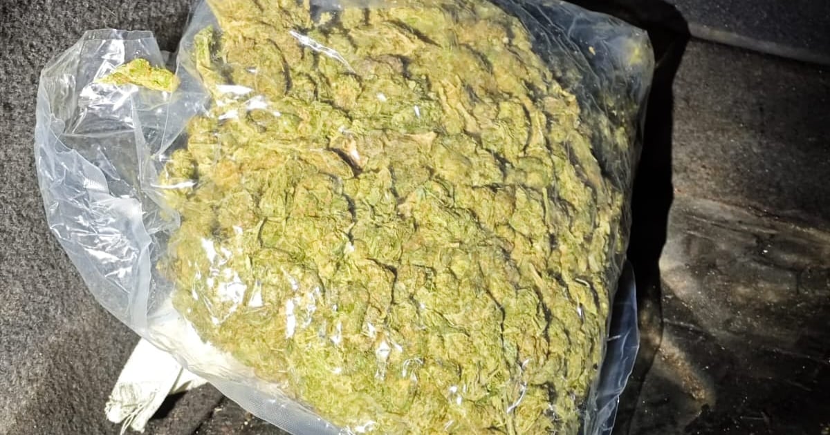 Fotografija uz vijest: Podgorica: Uhapšene dvije osobe, pronađeno preko kilogram marihuane