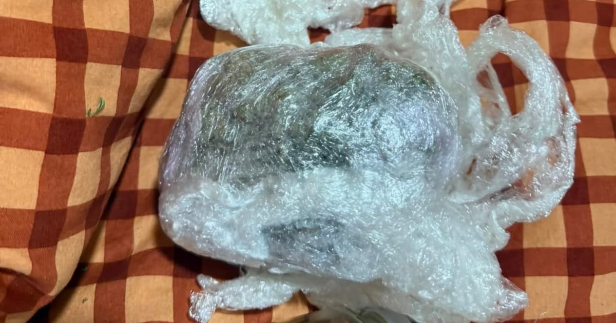Fotografija uz vijest: Policija u Podgorici zaplijenila marihuanu i kokain, uhapšene dvije osobe