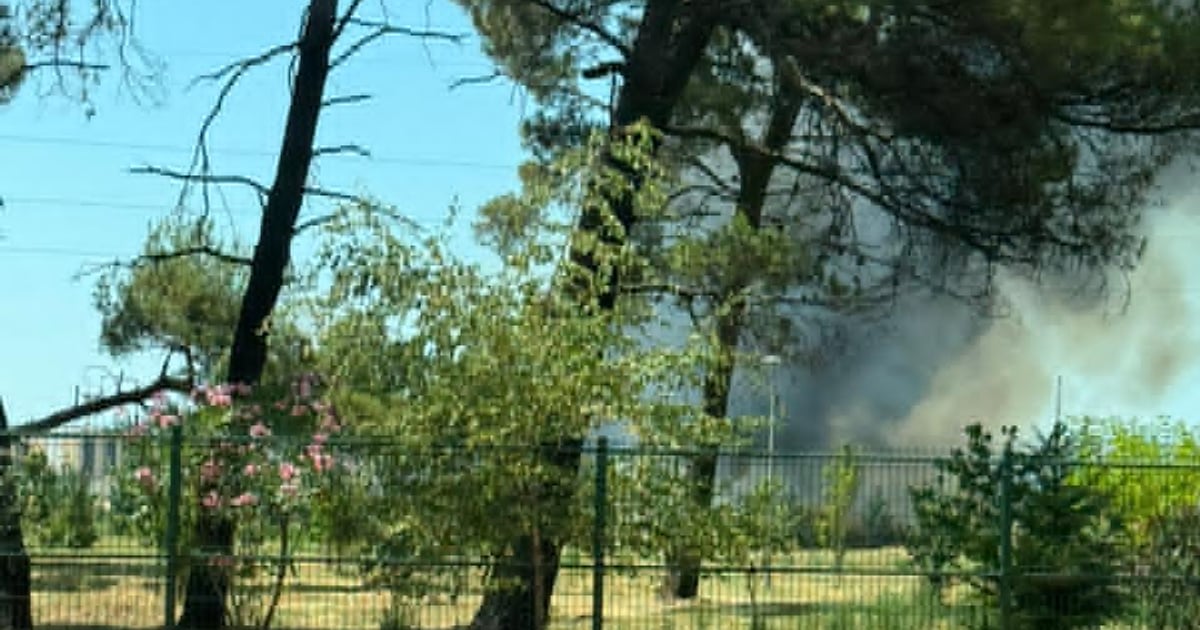 Fotografija uz vijest: Požar na lokaciji Sadine u Podgorici, izgorjele improvizovane barake