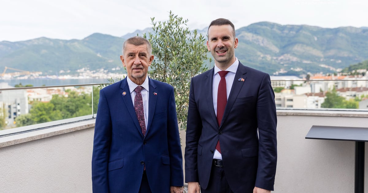 Fotografija uz vijest: Spajić: Sporazum o odbrani važan korak u jačanju partnerstva sa Češkom