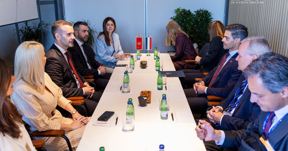 Fotografija uz vijest: Spajić: Sve više nizozemskih kompanija zainteresovano za poslovanje u Crnoj Gori