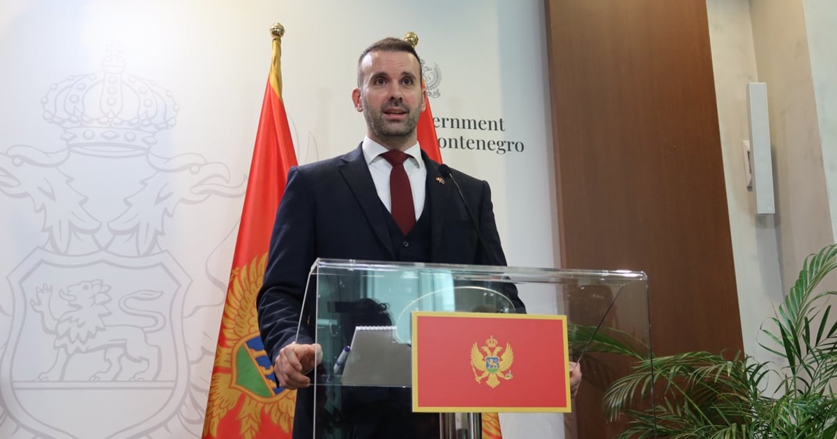 Fotografija uz vijest: Spajić: Zajedno ka istorijskom cilju izmjene Ustava