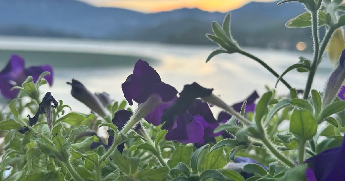 Fotografija uz vijest: Vrijeme sjutra: Sunčano i veoma toplo, temperatura do 39 stepeni