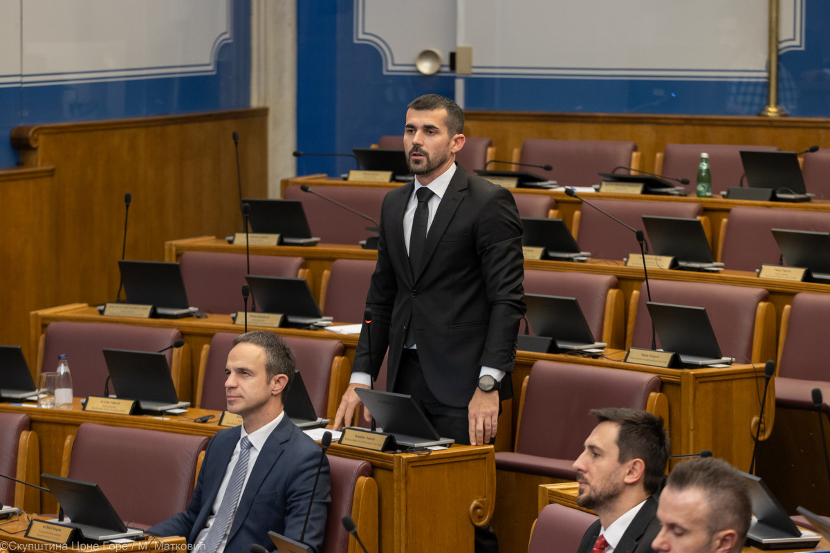 Fotografija uz vijest: Nenezić: Održana sjednica Otvorenog parlamenta kao prvi korak ka spasavanju barske i crnogorske brodske privrede