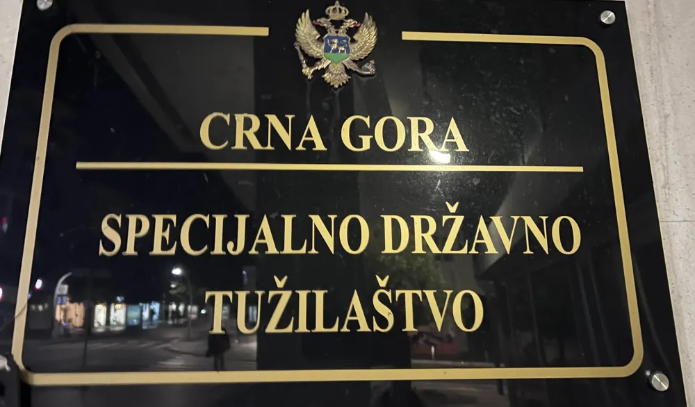 Fotografija uz vijest: Pokrenut krivični postupak protiv Katnića i Čađenovića u slučaju "državni udar"