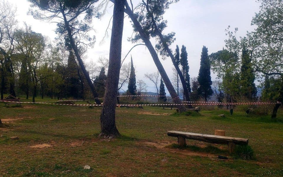 Fotografija uz vijest: Glavni grad raspisao konkurs za idejno rješenje uređenja Park šume Gorica