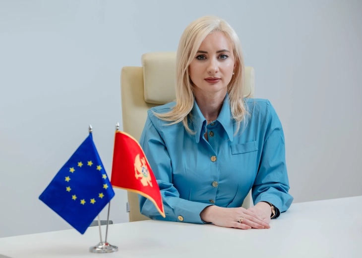 Fotografija uz vijest: Gorčević: EK-ov finansijski paket potvrđuje ozbiljan pristup članstvu Crne Gore u EU