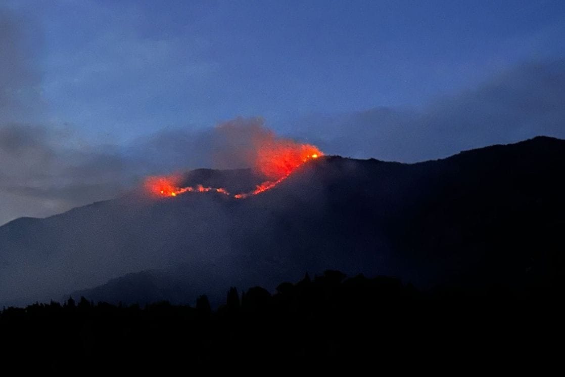 Fotografija uz vijest: Požar zahvatio šumski pojas na granici Crne Gore i Hrvatske