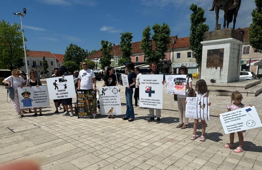 Fotografija uz vijest: Protest u Nikšiću zbog načina uklanjanja pasa sa ulica: Udruženje Korina traži humaniji pristup