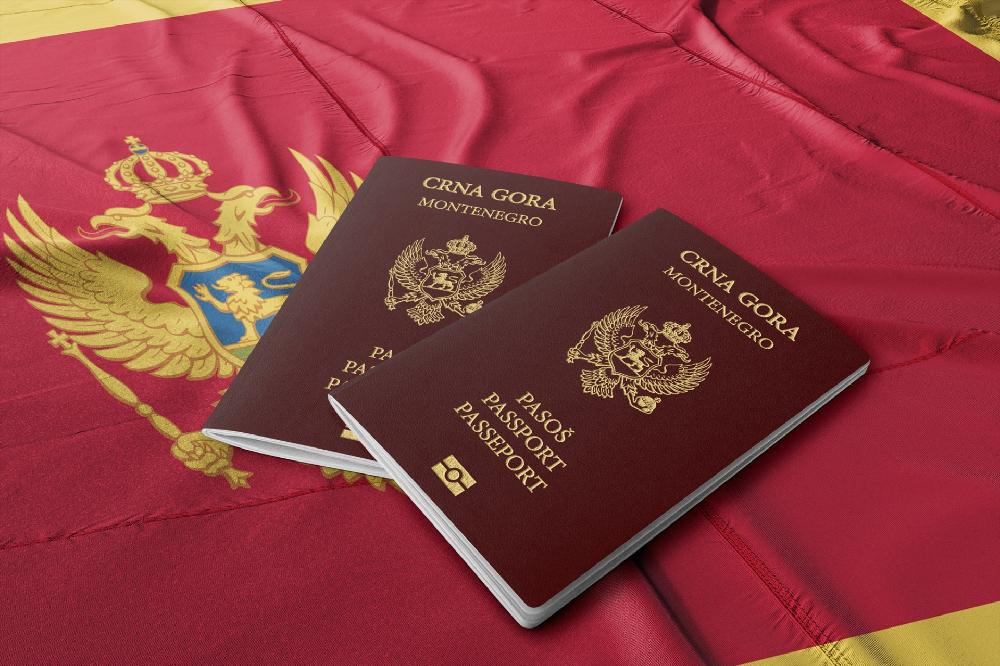 Fotografija uz vijest: Status građana u dijaspori mora biti rezultat dijaloga, predložene izmjene zakona ugrožavaju ustavna prava iseljenika