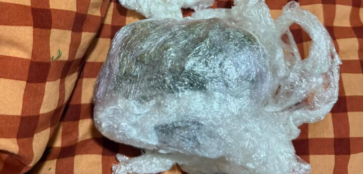 Fotografija uz vijest: Uhapšena dvojica Podgoričana, kod njih pronađeni kokain i marihuana