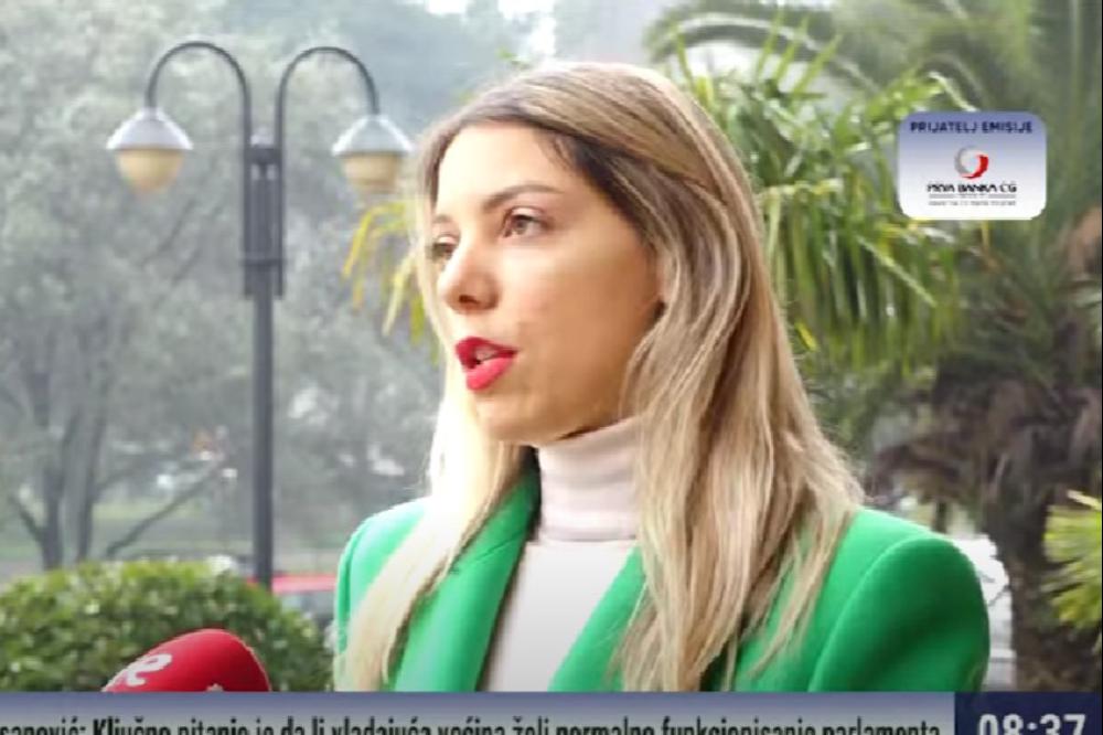 Fotografija uz vijest: Aranitović: Novi IRMS sistem usporava preduzetništvo i odbija investitore