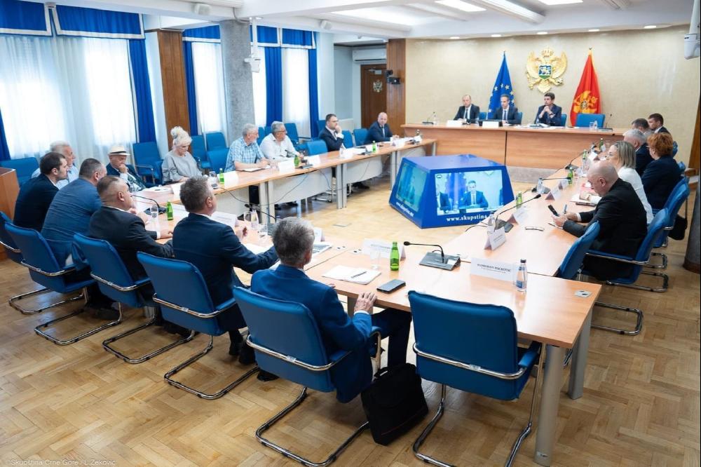 Fotografija uz vijest: Crnoj Gori potrebni snažniji mehanizmi za zaštitu standarda penzionera: "Ako ima za Rikija Martina, mora biti i za penzionere"