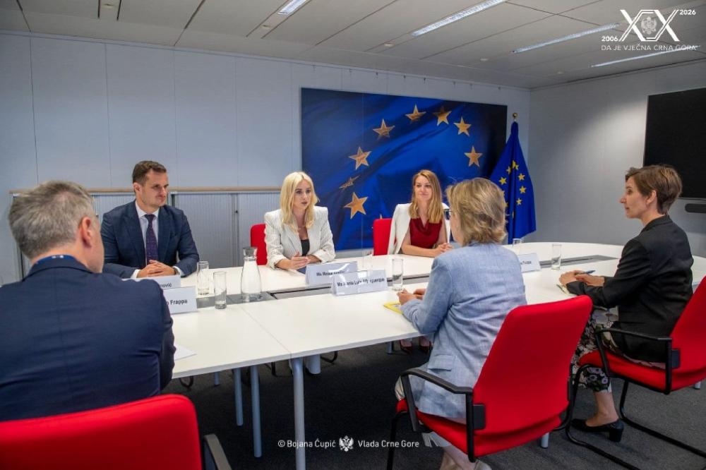 Fotografija uz vijest: Gorčević: Crna Gora se priprema za članstvo i institucionalno i ekonomski