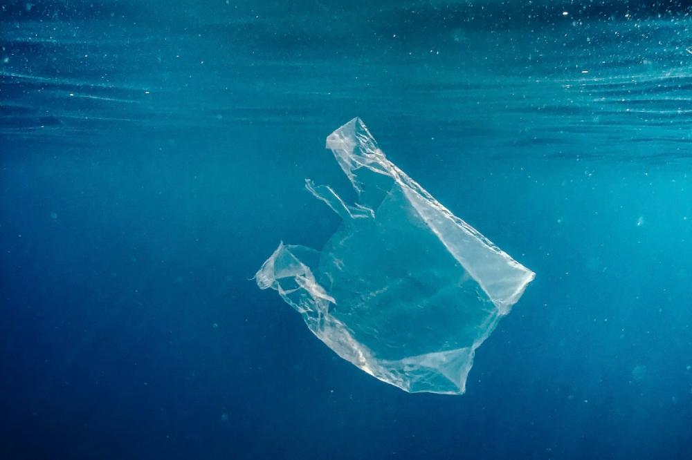 Fotografija uz vijest: Plastična kesa koju koristiš nekoliko minuta živi stotinama godina