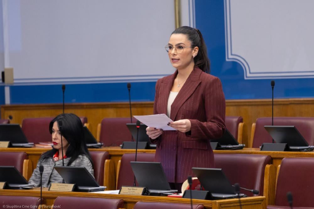 Fotografija uz vijest: Popović: Brutalne prijetnje novinarki portala Standard potvrđuju izazovan ambijent za nezavisne medije