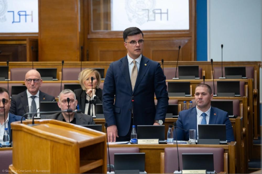 Fotografija uz vijest: Šaranović: Razmatra se zabrana društvenih mreža za mlađe od 16 godina