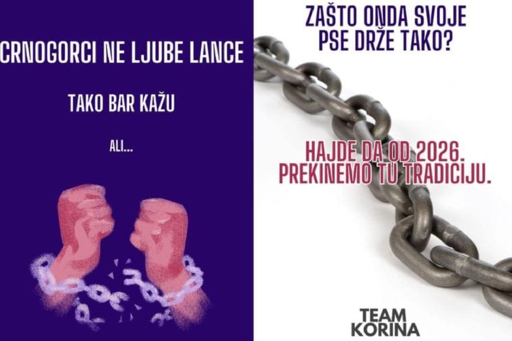 Fotografija uz vijest: Udruženje Korina: U Nikšiću se jedan po jedan vezani vlasnički pas prebacuje sa kratkog lanca na sajlu do 10 metara dužine
