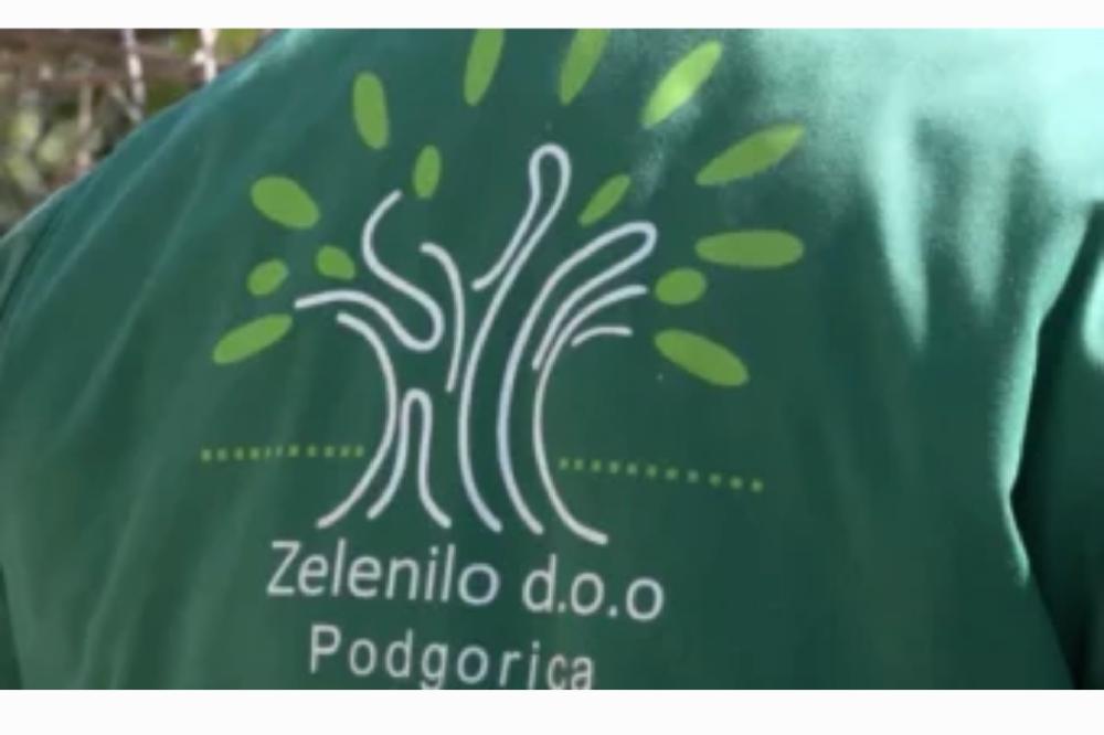 Fotografija uz vijest: Zelenilo Podgorica: Potrebno još 97 radnika, odbacuju tvrdnje SEP-a o partijskom zapošljavanju