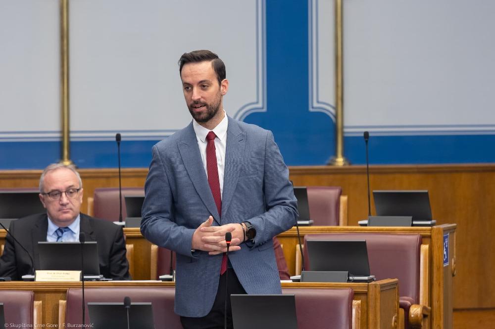 Fotografija uz vijest: Zirojević: Ako Koprivica svoja saznanja ne podijeli sa nadležnima, neka se pokrije ušima i ćuti