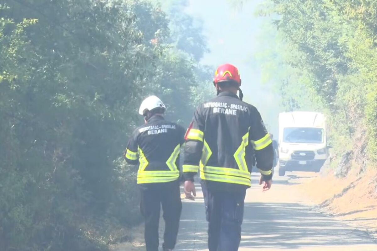 Fotografija uz vijest: MUP: Večeras stabilnije stanje, požari u Herceg Novom, Ulcinju, Kotoru, Danilovgradu i Kolašinu pod kontrolom