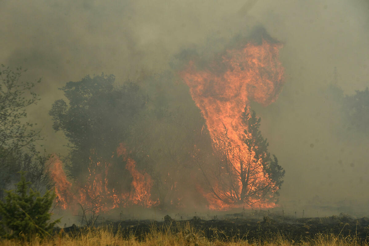 Fotografija uz vijest: Odbornici Pokreta za Podgoricu predlažu smanjenje poreza na imovinu pogođenu požarima