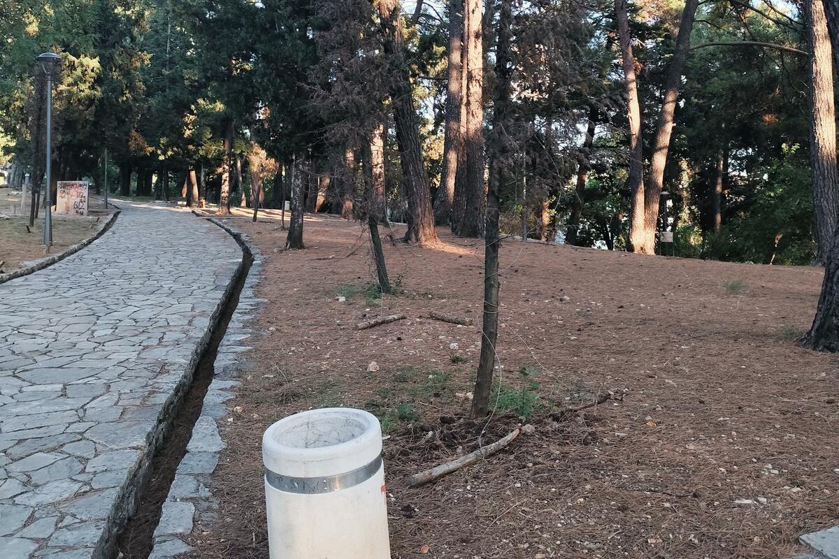 Fotografija uz vijest: Polovina sadnica u Velikom gradskom parku u Tivtu se osušila, Opština najavljuje sudski spor