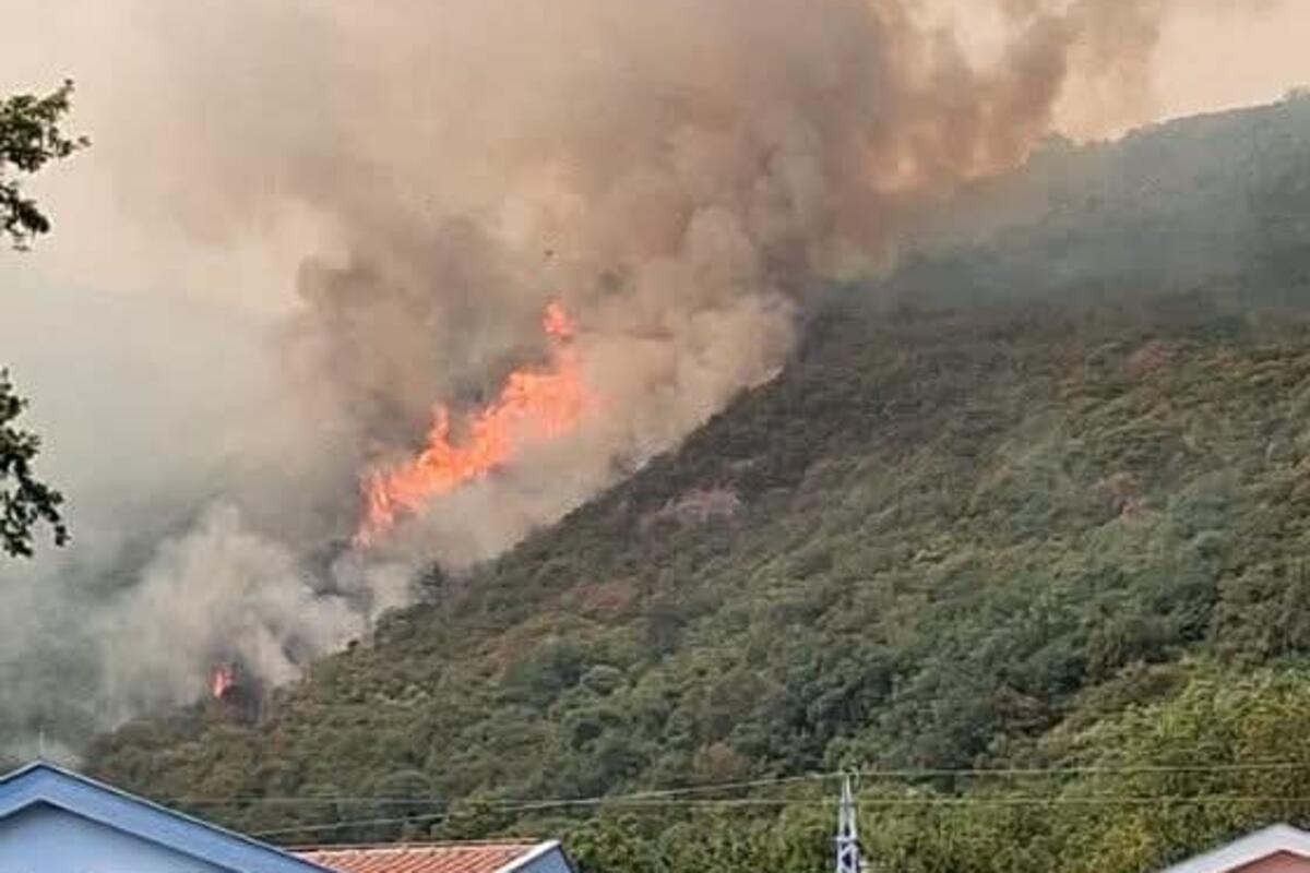 Fotografija uz vijest: Požar u naselju Todorovići u Bijeloj ponovo prijeti kućama