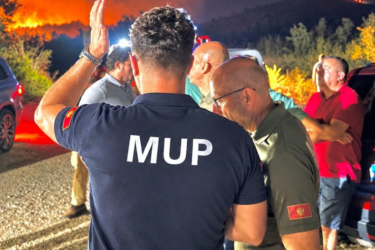 Fotografija uz vijest: Šaranović: Požari u Crnoj Gori stavljeni pod kontrolu