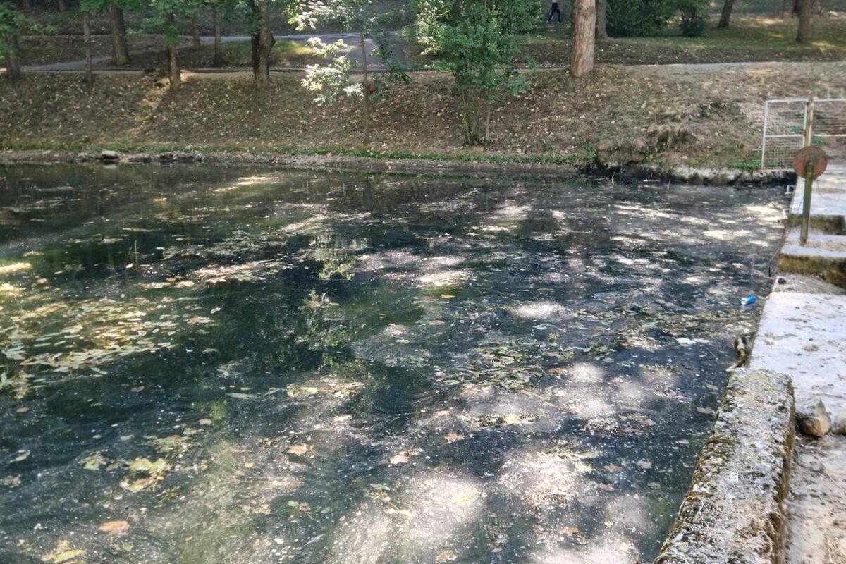 Fotografija uz vijest: SRK "Lipljen": Vodostaj Breznice ispod biološkog minimuma, ugrožen biodiverzitet i mrestilište potočne pastrmke