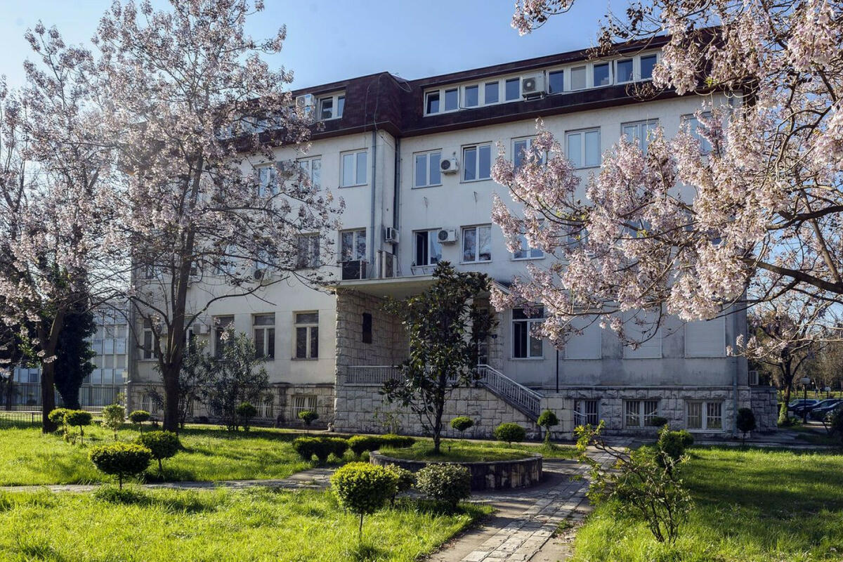 Fotografija uz vijest: Vijeće Istorijskog instituta UCG nije podržalo kandidata za direktora, konkurs biće ponovljen