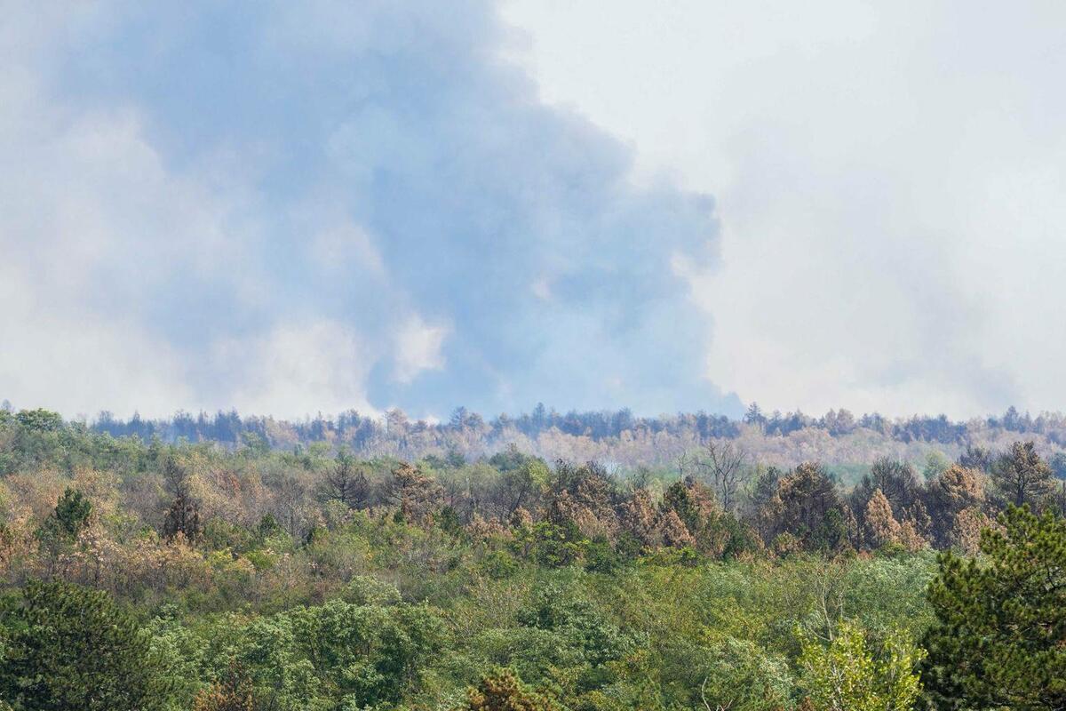 Fotografija uz vijest: Vlada Crne Gore ponudila Srbiji pomoć u gašenju požara