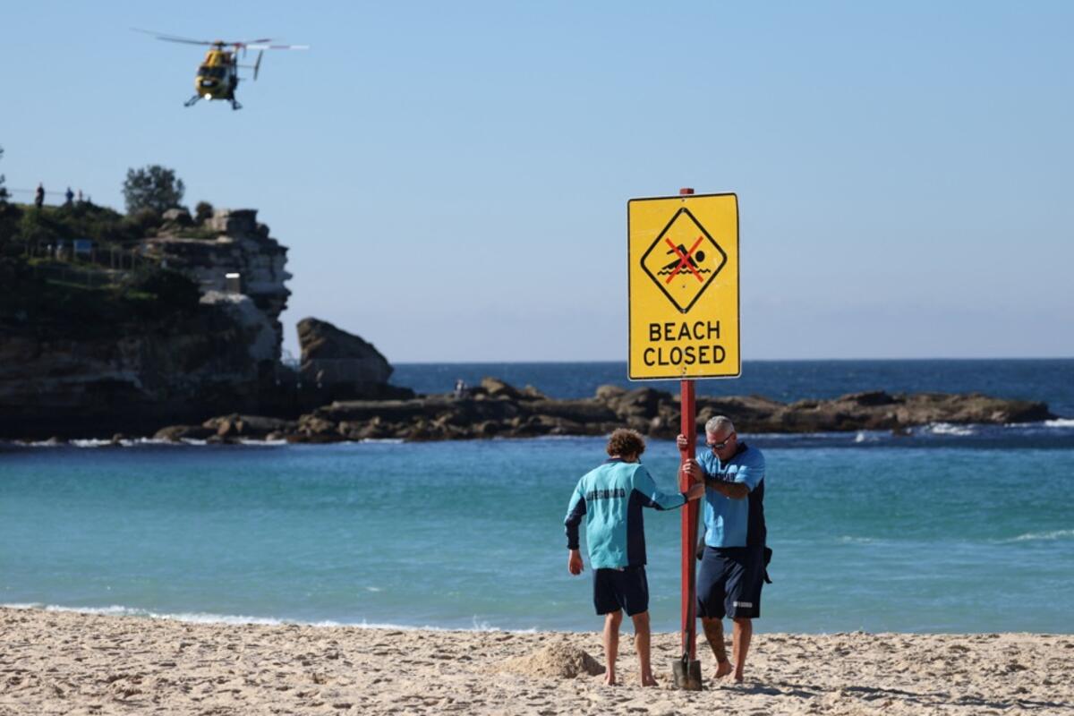 Fotografija uz vijest: Bijela ajkula napala ženu kod plaže Kudži u Sidneju
