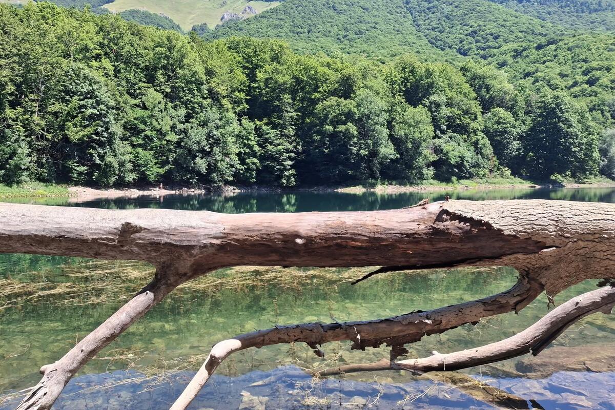 Fotografija uz vijest: Biogradska gora najčešća meta nelegalne gradnje u zaštićenim područjima