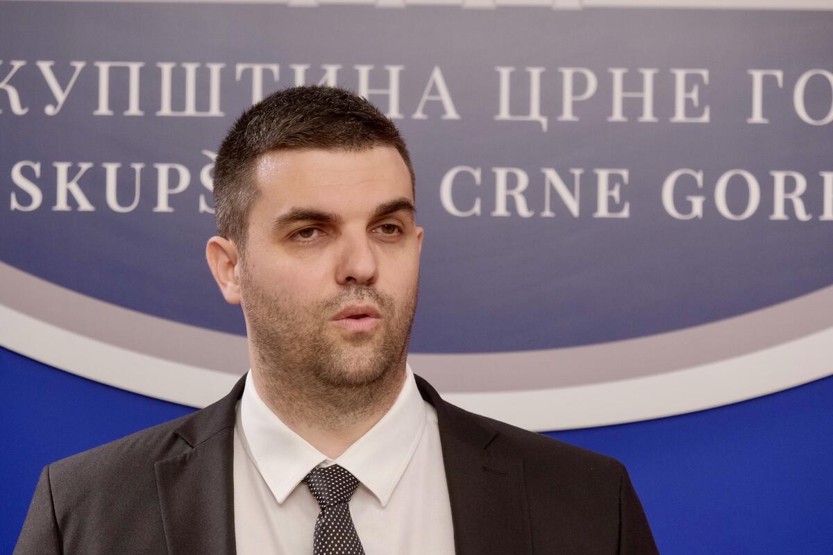 Fotografija uz vijest: Božović: Podrška inicijativi da provjera integriteta mandatara i članova Vlade bude uređena Ustavom