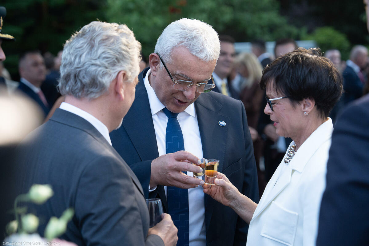 Fotografija uz vijest: Evropski parlament potvrdio da je Mandićev dolazak u Brisel bio planiran, ali otkazan zbog sjednice Skupštine