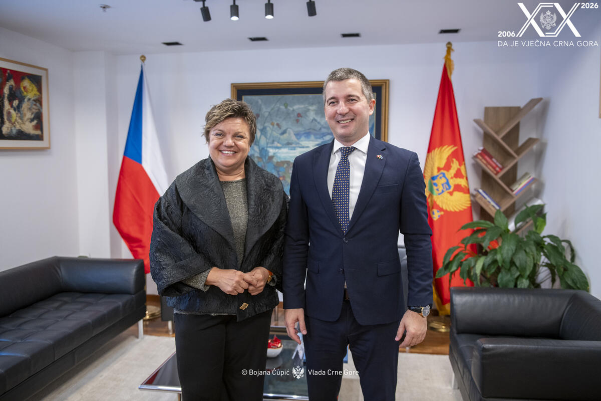 Fotografija uz vijest: Hrebičkova: Crna Gora bi mogla postati članica EU do 2028. godine