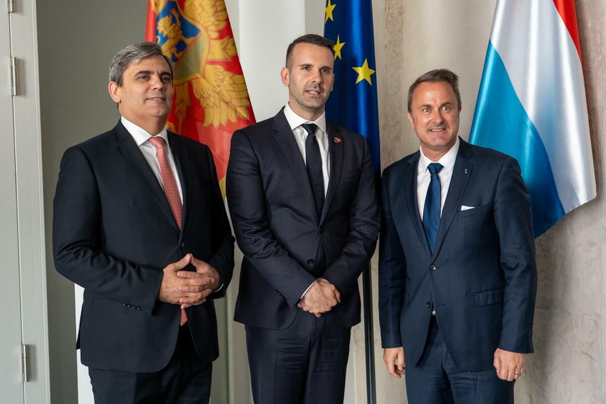 Fotografija uz vijest: Ibrahimović: Zatvaranje novih pregovaračkih poglavlja potvrđuje napredak Crne Gore ka EU