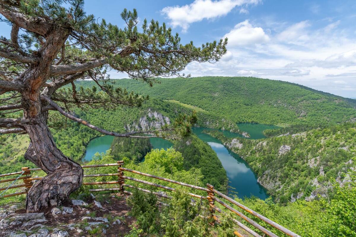 Fotografija uz vijest: Knežević: Rijeka Ćehotina izbačena iz Natura 2000 mreže bez javnog obrazloženja