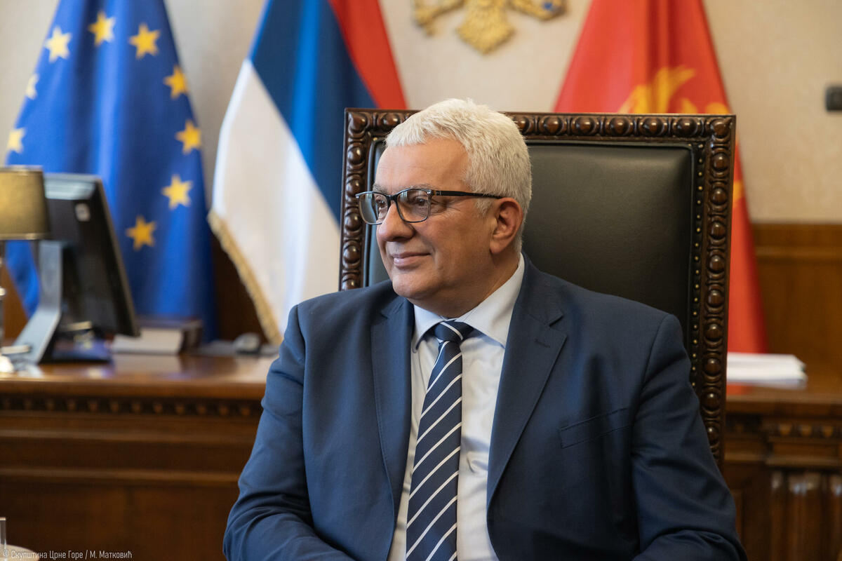 Fotografija uz vijest: Mandić: Kurti stoji iza zabrane ulaska Kovačeviću i Ivanović na Kosovo